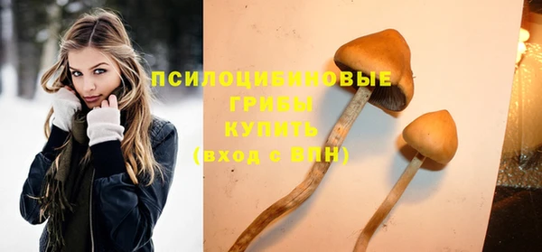 а пвп мука Инта