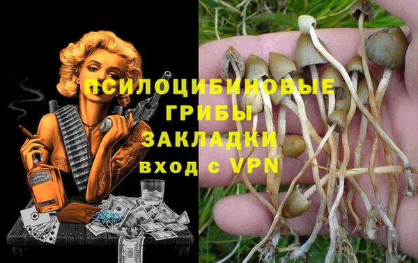 твердый Иннополис