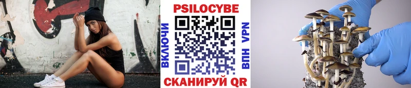 Купить  Спасск-Дальний  Псилоцибиновые грибы Psilocybe 